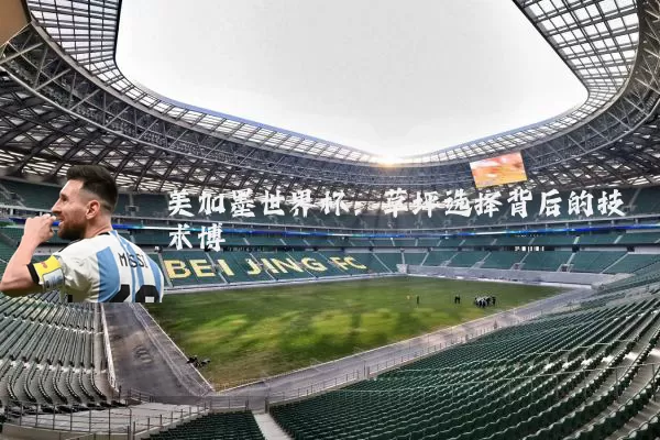 美加墨世界杯:草坪选择背后的技术博弈